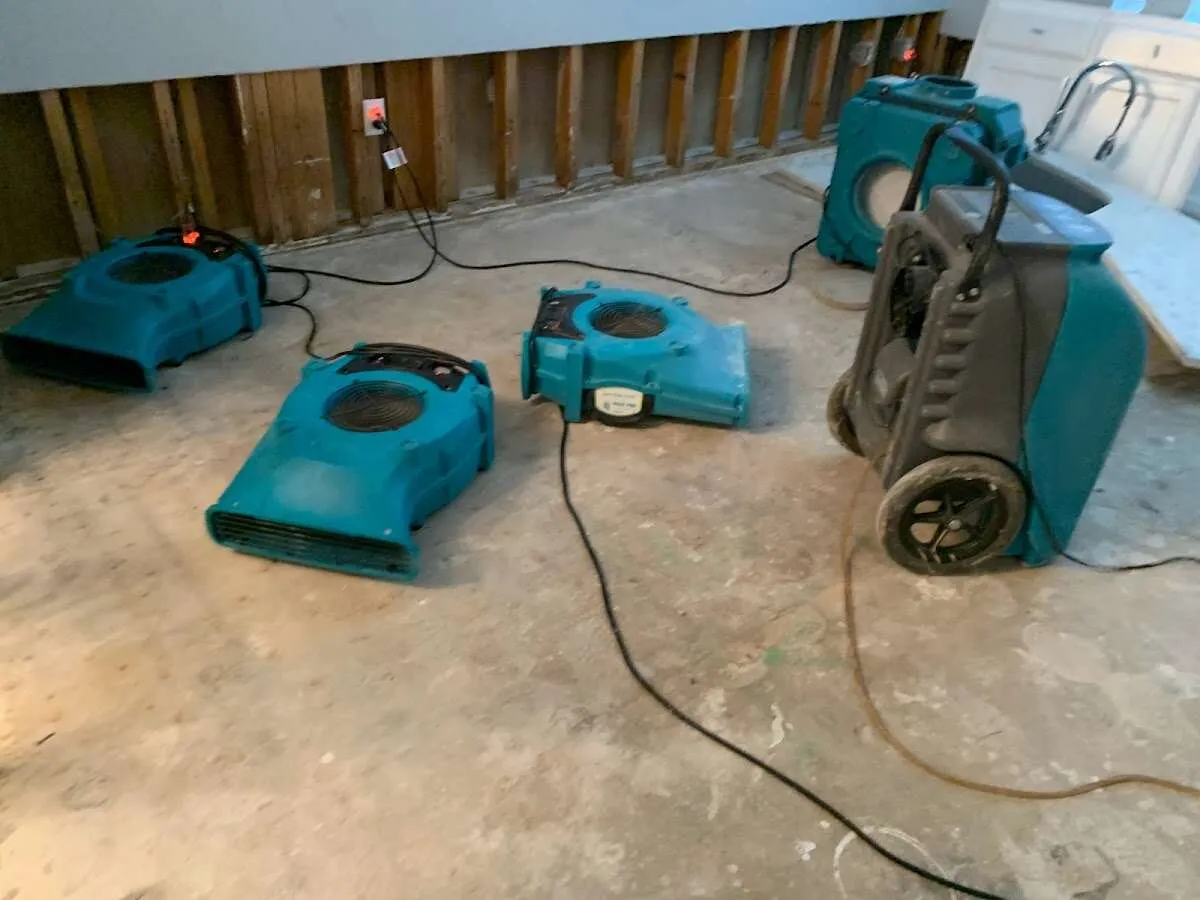 Water Damage Restoration services in Rockwood, TN